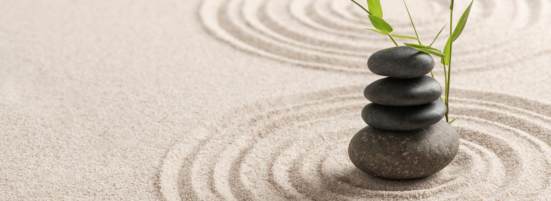 Terapias  Complementarias