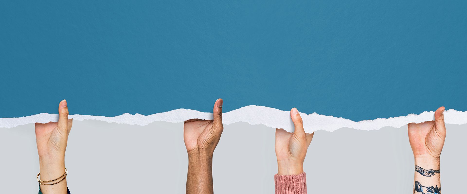 Multidisciplinary Program