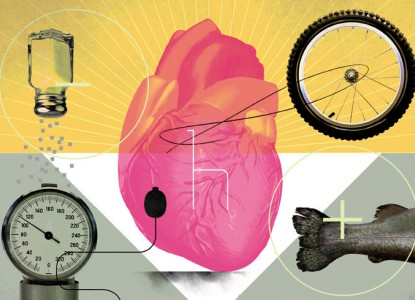 The Effect of Emotions on the Heart    